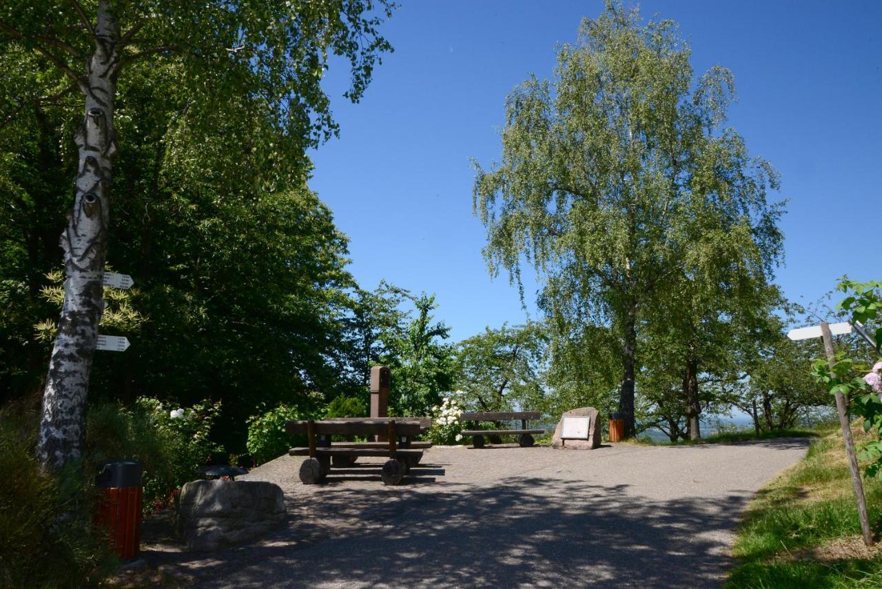 Residence Am Weinberg / Travellers Hotelbetriebs Gmbh Sasbachwalden Kültér fotó
