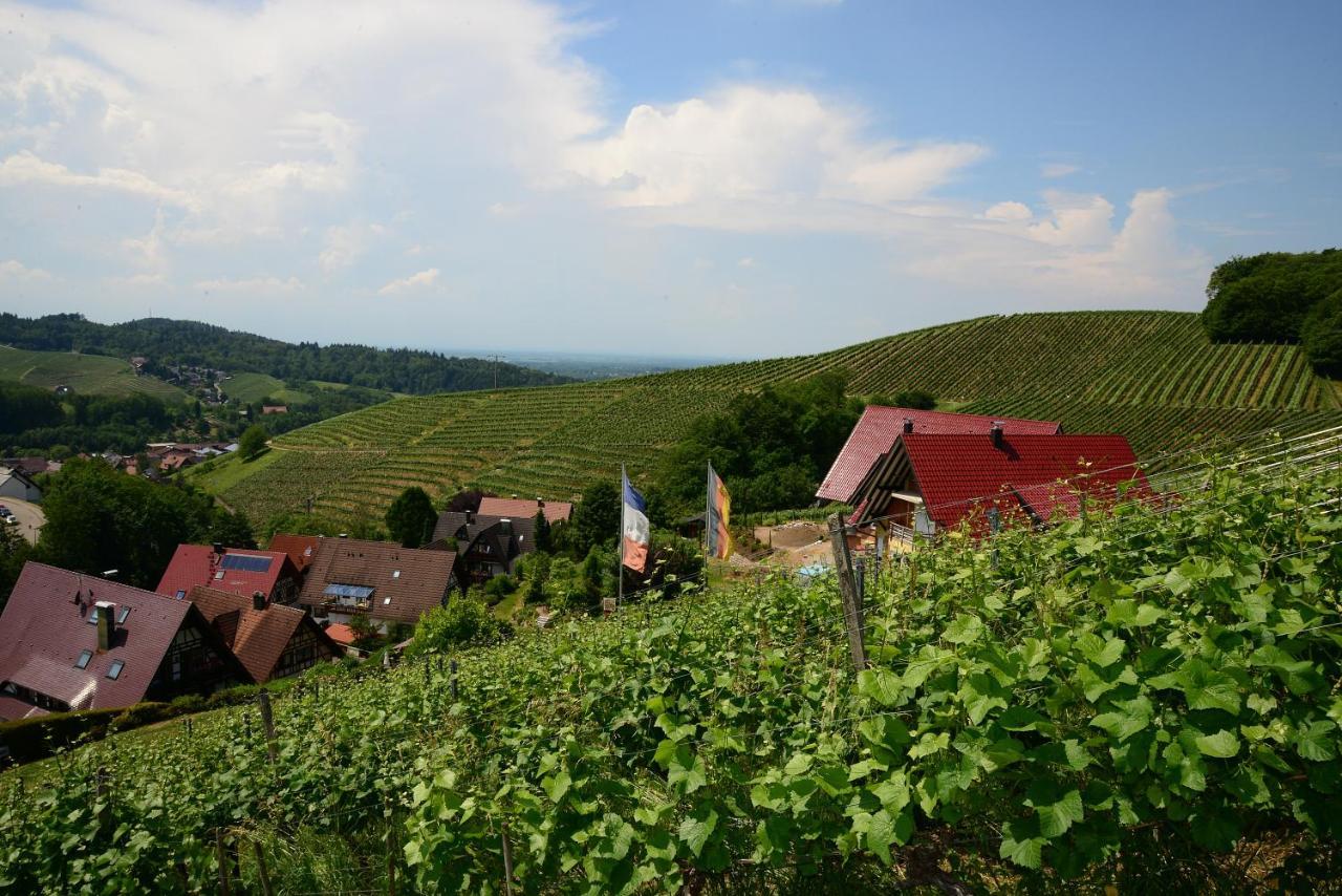 Residence Am Weinberg / Travellers Hotelbetriebs Gmbh Sasbachwalden Kültér fotó