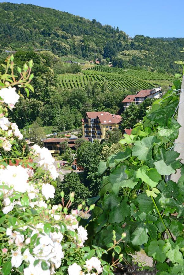 Residence Am Weinberg / Travellers Hotelbetriebs Gmbh Sasbachwalden Kültér fotó